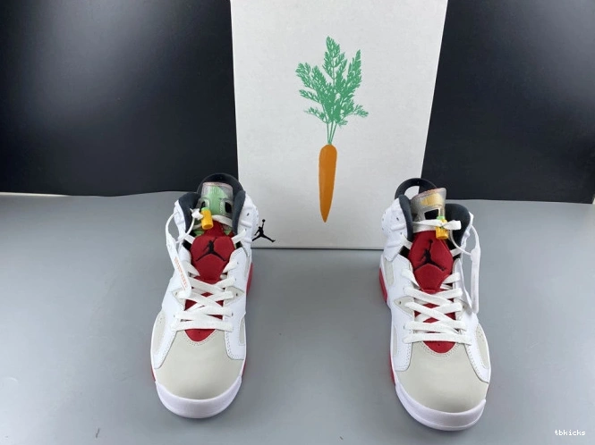 Reps TBK Hare Air CT8529-062 Jordan 6 0718